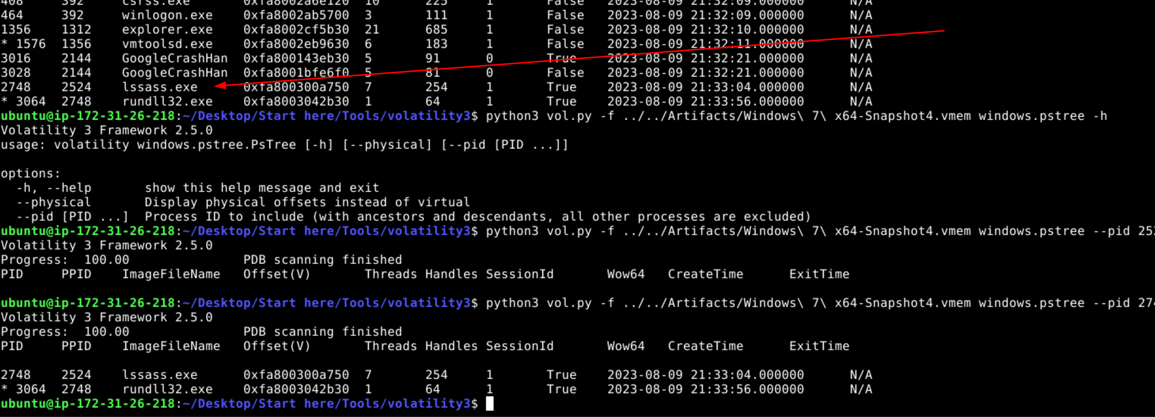 pslist output revealing the illegitimate lssass.exe process